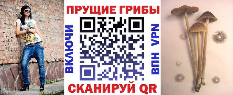 купить закладку  Камешково  Галлюциногенные грибы ЛСД 